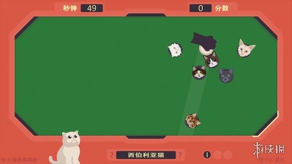 盘点Steam上养猫咪的小游戏（撸猫模拟器游戏介绍）--第23张