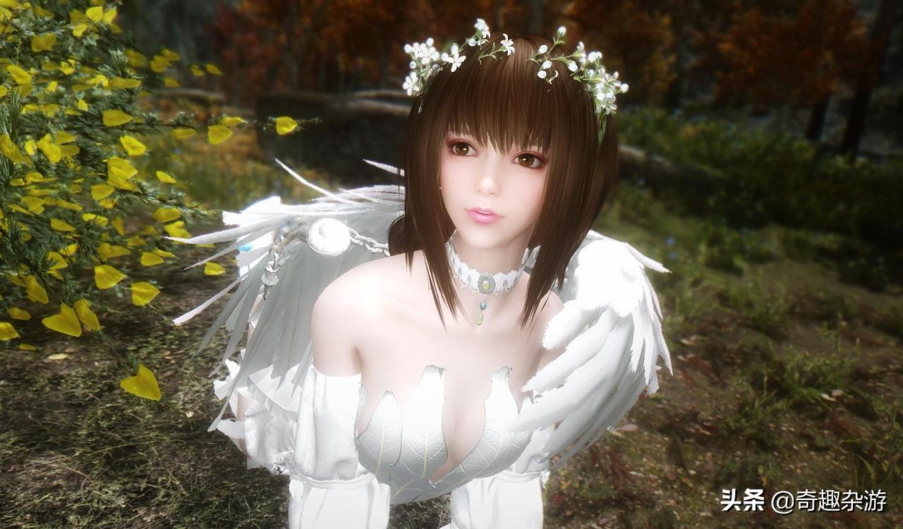 上古卷轴5重制版mod美女（上古卷轴5新随从mod推荐）