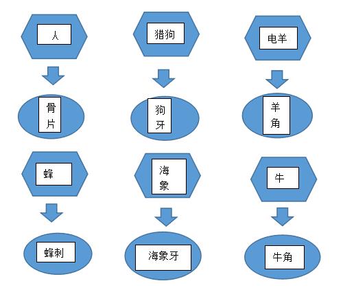 饥荒强心针怎么做（饥荒怎么合成强心针）